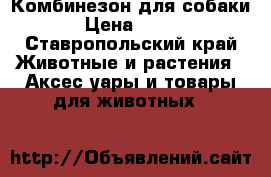 Комбинезон для собаки › Цена ­ 360 - Ставропольский край Животные и растения » Аксесcуары и товары для животных   